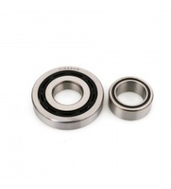 Set of Bearing PINASCO for PX