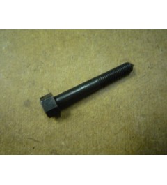 Bolt for Carburator Cover